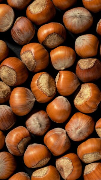 Hazelnuts in shell
