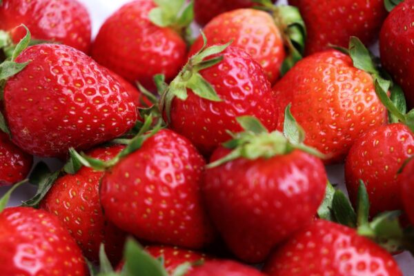 Strawberry (Fragaria L.)