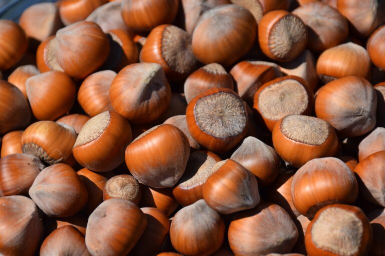 Turkish Hazelnuts Ekoterra Food