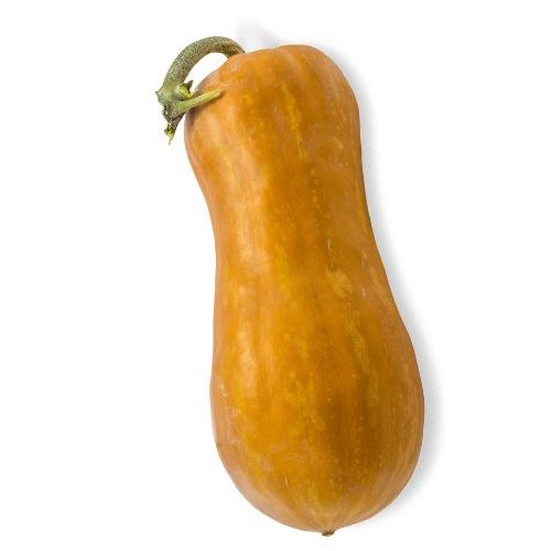 Zucca