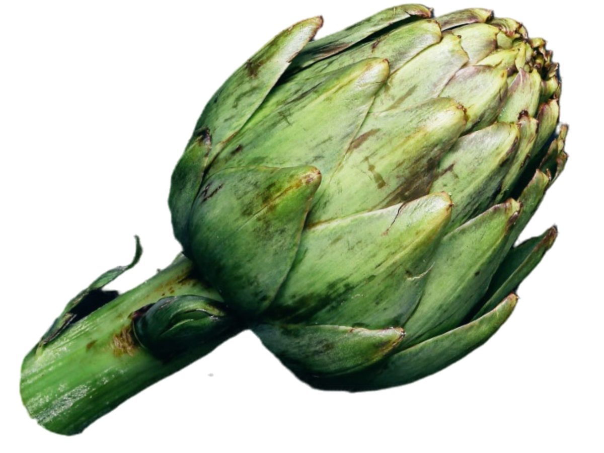 Artichoke